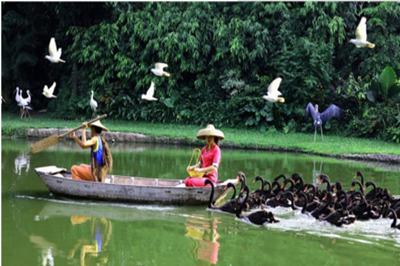 【廣州】長(zhǎng)隆野生動(dòng)物園、珠海海洋王國(guó)、歡樂(lè)世界雙臥6日游