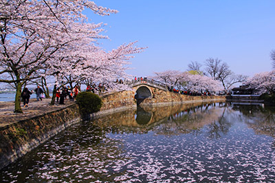 黿頭渚 長(zhǎng)春橋（400）.jpg