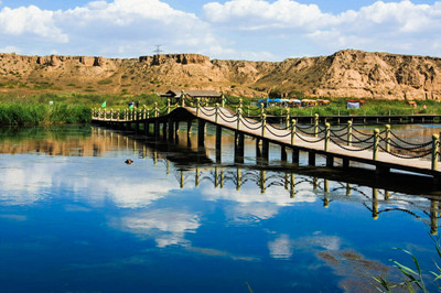5A級景區(qū)沙湖生態(tài) 旅區(qū)游、.jpg