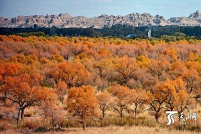 【南北疆】 新疆天山天池、火洲吐魯番、人間凈土喀納斯雙飛8日游