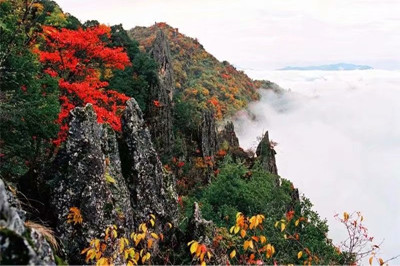 【安康】南宮山+香溪洞、安康博物館兩日游